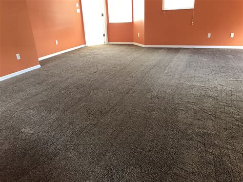 Carpet Flooring in Clearwater, FL | Checkpoint Flooring
