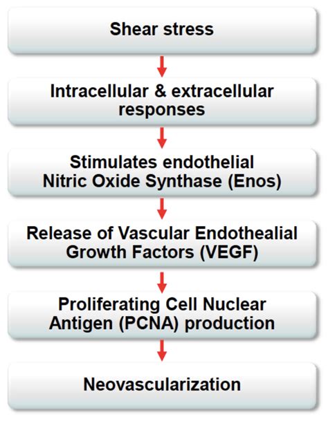 GAINSWave™ | Activation Clinic
