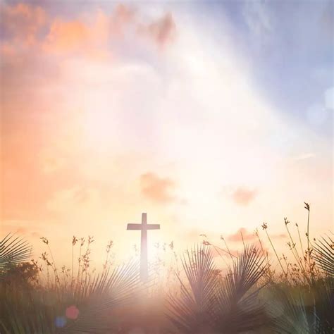 Methodist vs baptist differences and beliefs – Artofit