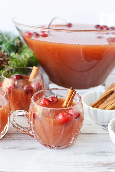 25 Non-Alcoholic Punch Recipes - The Curly Spoon