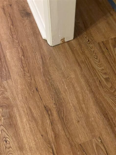 Help! Refinished hardwood floor stain looks like two different colors ...