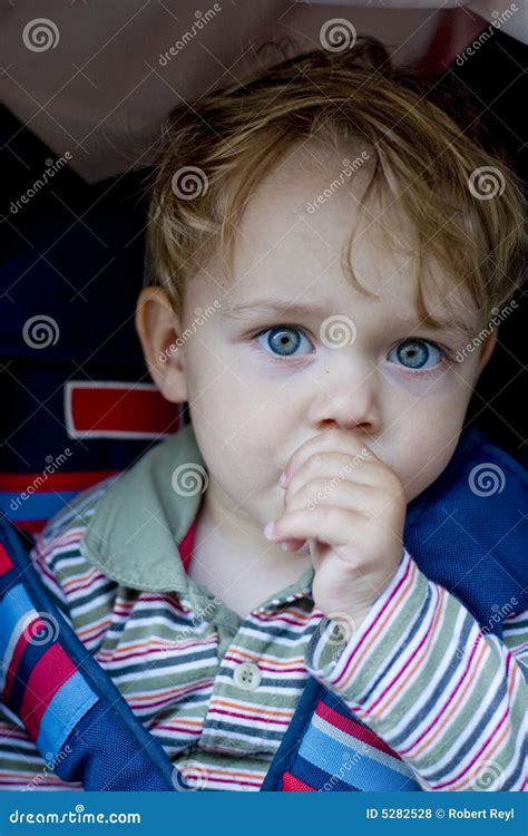 Boy sucking his thumb stock photo. Image of expression - 5282528