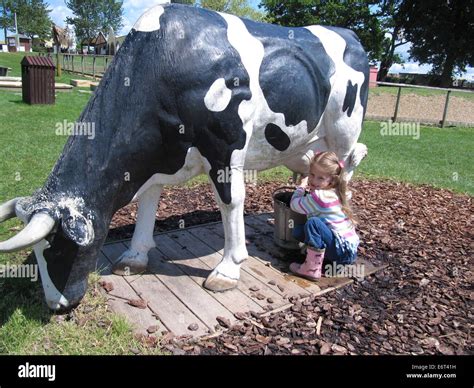 Girl Milking a Cow Stock Photo - Alamy