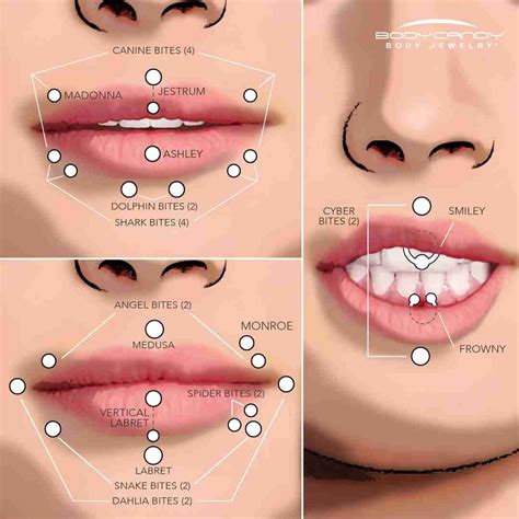 The Piercing Dictionary: Facial & Lip Piercings | Lip piercing, Face ...
