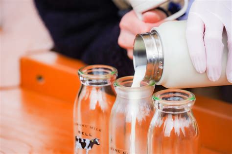 Unlock the Secrets of Kombu: Health Benefits, Cooking Tips, and Recipes ...