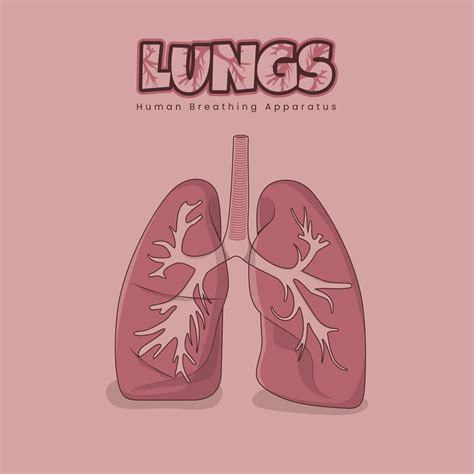 Lungs design for human breathing apparatus in pink color design 12705348 Vector Art at Vecteezy