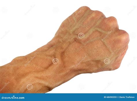 Wrist Veins VEINS OF ARM BOTH ANTERIOR AND POSTERIOR @physiotriveda
