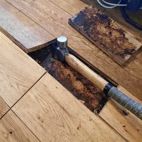 How To Replace Bathroom Subfloor? (Step-By-Step Guide)