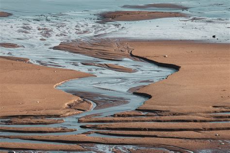 What is an Estuary an why is it important?