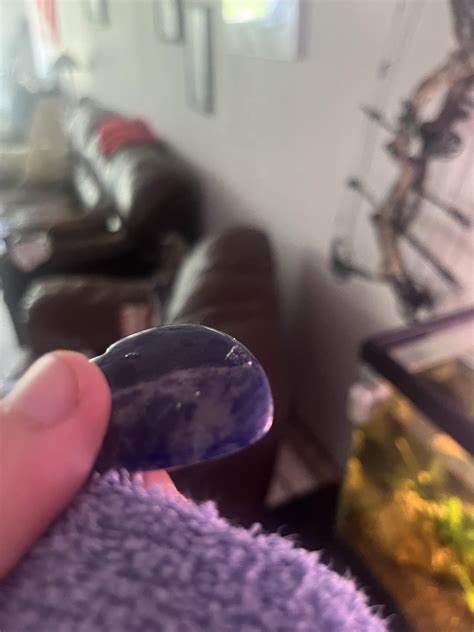 Bladder snail eggs? : r/Aquariums