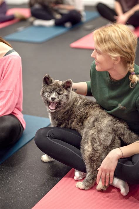 Galerija - Puppy Yoga