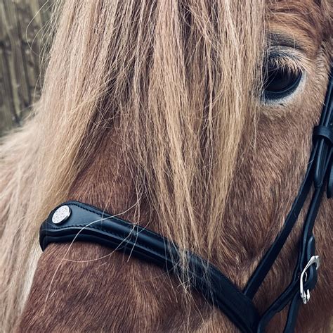 eiswald-sport - eiswald-sport added a new photo.