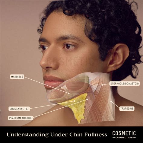 Under Chin: Khám Phá Ý Nghĩa và Các Ứng Dụng Thực Tế