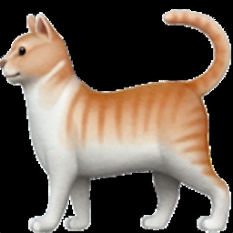 🐈 Cat Emoji Copy Paste 🐈