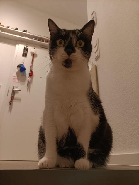 The Snapple Lady! (Wendy Kaufman) : r/1990s