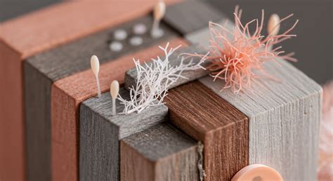 Ocularcentrism → Term