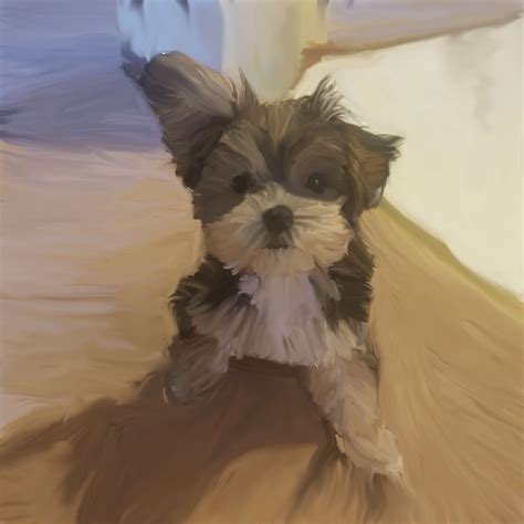 Fine art - KENZIES PHOTO'S