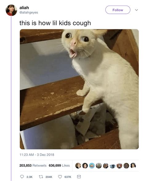 The Coughing Cat Is Maybe the Last Meme to Win the Internet. Maybe.