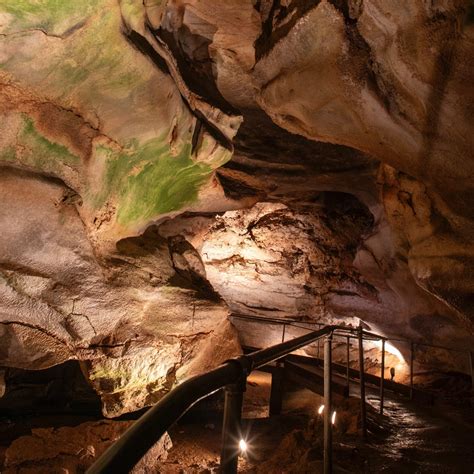 Oklahoma State Parks | Did you know we have bat caves in Oklahoma ...