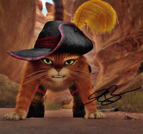 Puss In Boots Is Hat at Loretta Sotelo blog