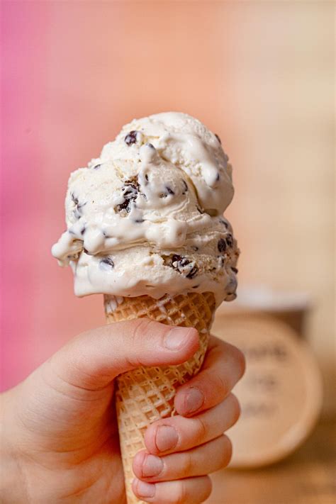 Chocolate Chip Ice Cream Cone