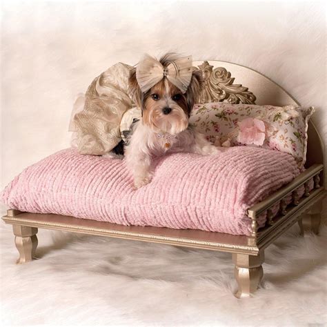 Luxury Modern Dog Beds
