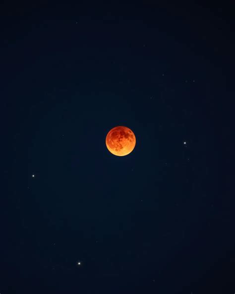 Red+Head+Bikini Photos, Download The BEST Free Red+Head+Bikini Stock Photos & HD Images