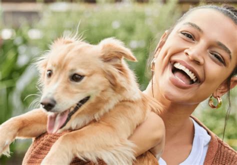 Veterinarian in Hudson Oaks, TX | I-20 Animal Hospital