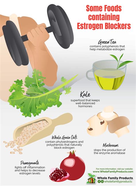 What You Need To Know About Estrogen Blockers And How They Work
