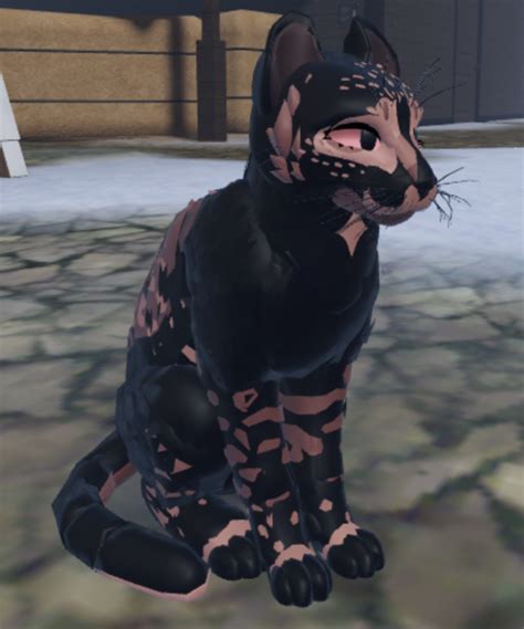 Warrior Cats Comics, Warrior Cats Fan Art, Warrior Cat Drawings, Warrior Cats Art, Cat Comics ...