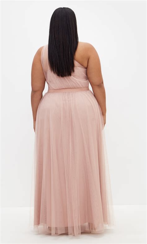 Women's Plus Size Daniela Maxi Dusty Rose Dress