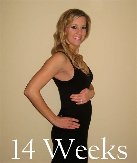 14 weeks pregnant uterus size