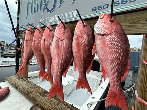 Red snapper season is 103 days for the recreational angler