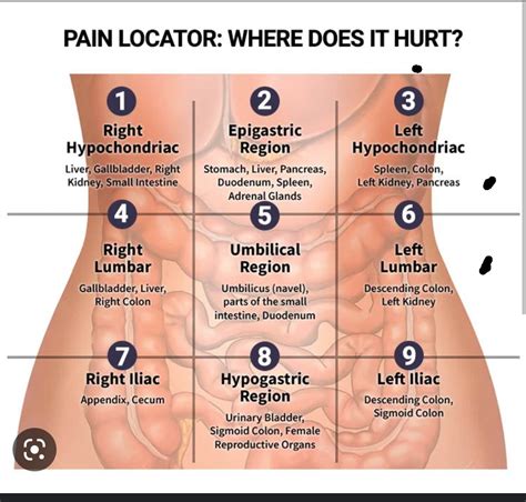 Why Does Under My Ribs Hurt After Eating at William Lawrence blog