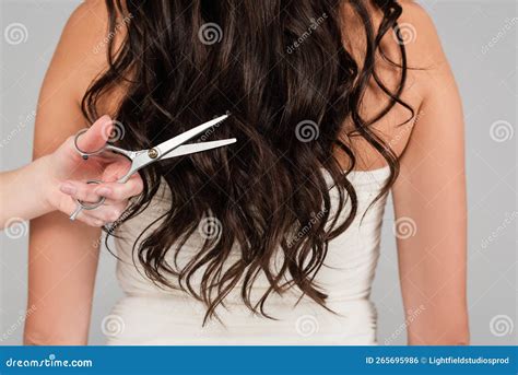 Cropped View of Hairdresser with Scissors Stock Photo - Image of ...