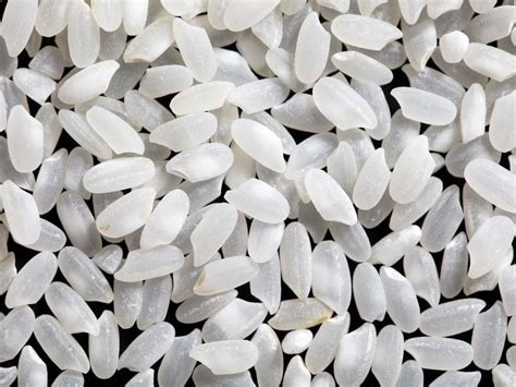 A Comprehensive Guide to Rice Varieties