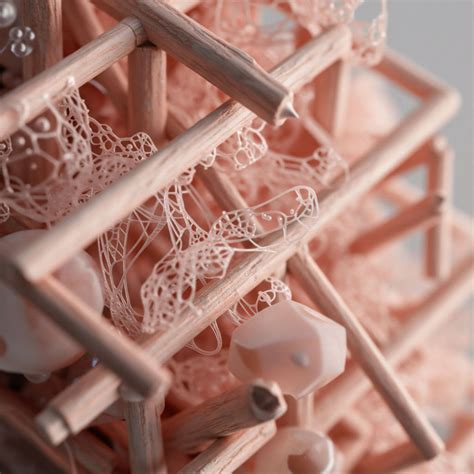 Biological Food Cravings → Area