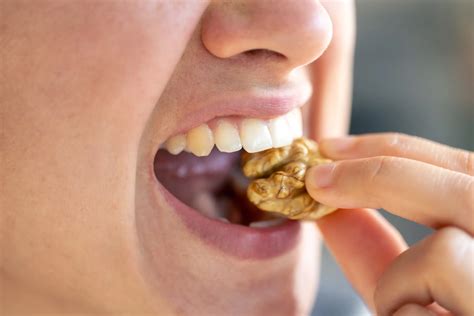 Are Teeth Bones? Find Out What Teeth Are Really Made Of