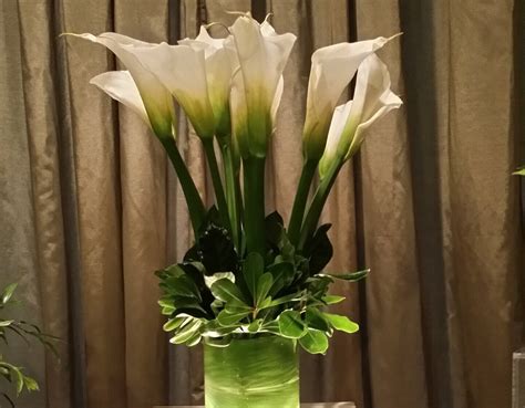 Benta's Funeral Home, Inc.