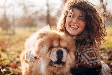 Why Does Chow Chow Have Blue Tongue
