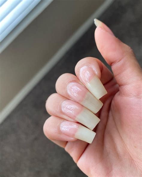 🌻•𝒩𝒶𝓇𝓇𝑜𝓊𝓈𝓈𝓎𝓁𝑜𝓃𝑔𝓃𝒶𝒾𝓁𝓈• on Instagram: "Just a clear polish 💎 . . . . # ...