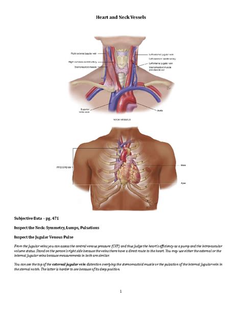 Carotid Versus Jugular Venous Distention