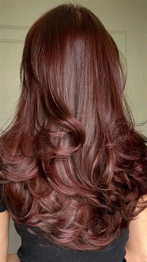 Pin by Mafer Duarte on Vision board | Hair color auburn, Wine hair ...