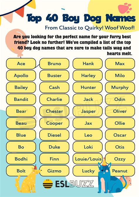 Male Dog Names: The Ultimate Guide to Finding the Perfect Name