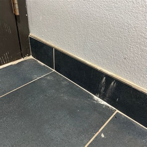 BEST WESTERN BUFFALO INN & SUITES - Prices & Hotel Reviews (NY)