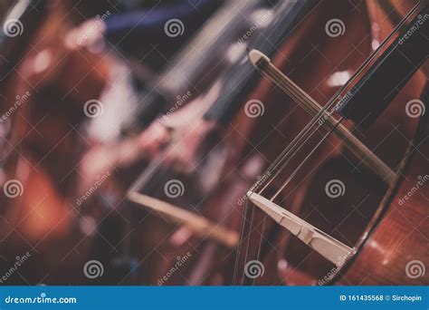 Classical Music Orchestra - Double Basses - Close-up - Suits - Close-up ...