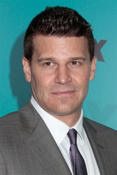 David Boreanaz - Steckbrief, News, Bilder | GALA.de