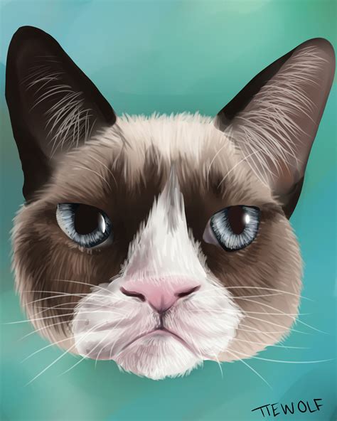 Tardar Sauce - The Grumpy Cat — Weasyl