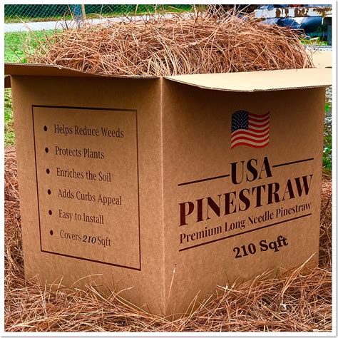 Pine Straw vs Mulch: Which is Right for You? - Turf&Till