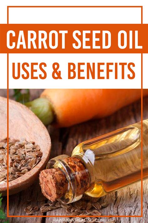 Meet Our Ingredients: Carrot Seed Oil | Carrot benefits, Carrot seed ...